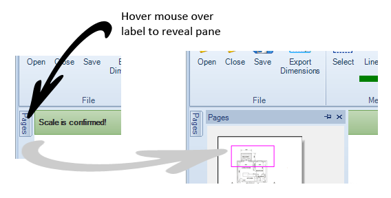 Revealing the Pages pane