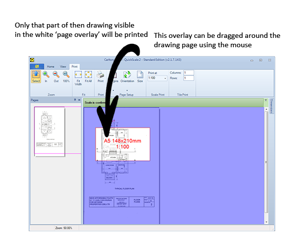 The Scale Print window